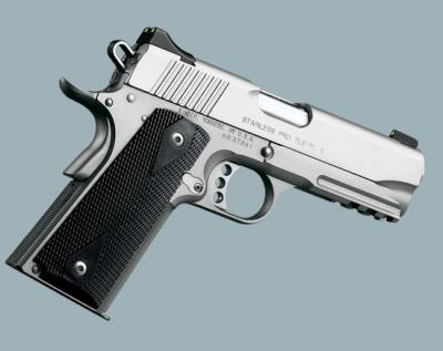 Kimber Pro TLE/RL II Stainless